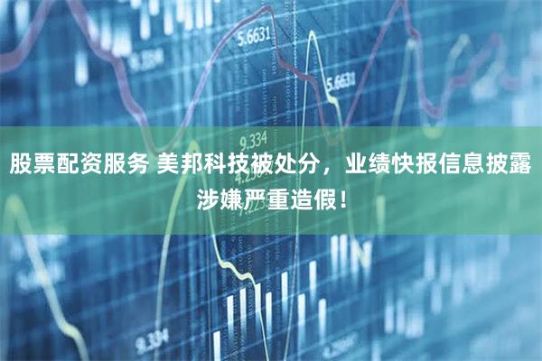 股票配资服务 美邦科技被处分，业绩快报信息披露涉嫌严重造假！